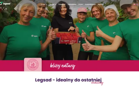 Ameti - realizacja - legsad