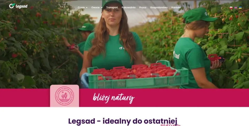 legsad zrzut ekranu ameti tworzenie stron